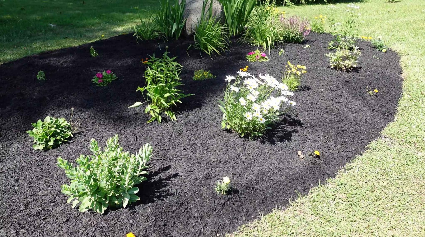 Mulching & Bed Maintenance in Davis, CA